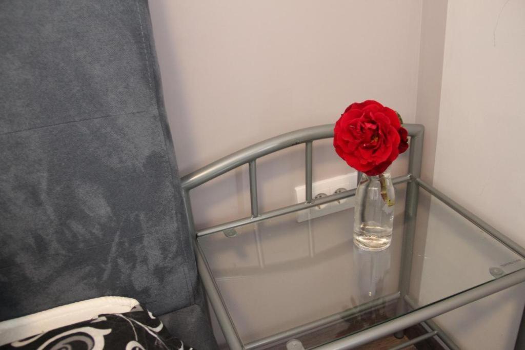 High Hostel Budva